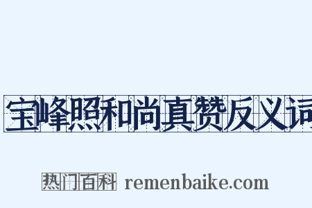 宝峰照和尚真赞反义词是什么意思的图片